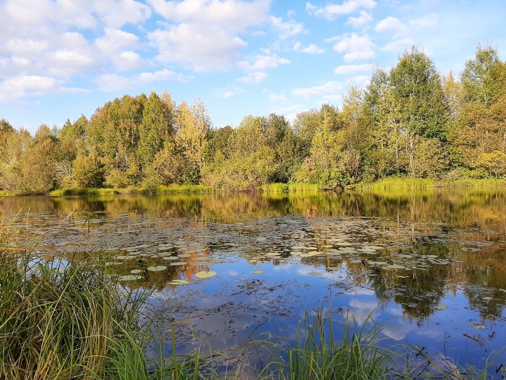 Photograph by Анастасия Кинева