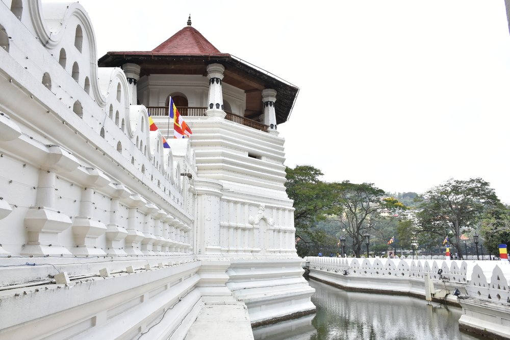 Photograph by Karuna Premalal Wanigasekara Arachchilage