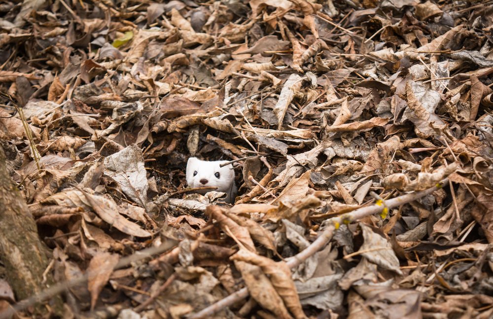 Photograph by александр