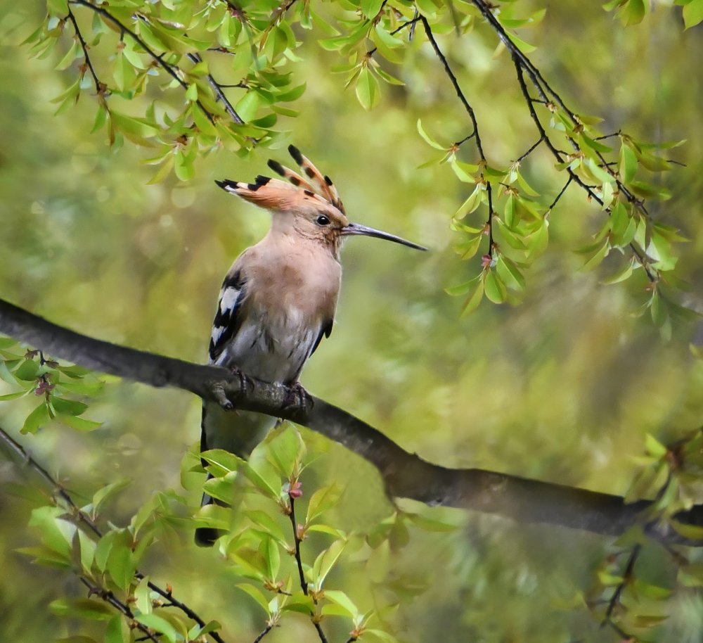 Photograph by Чернобай Анна