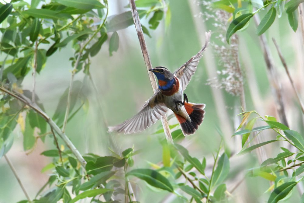 Photograph by Чернобай Анна