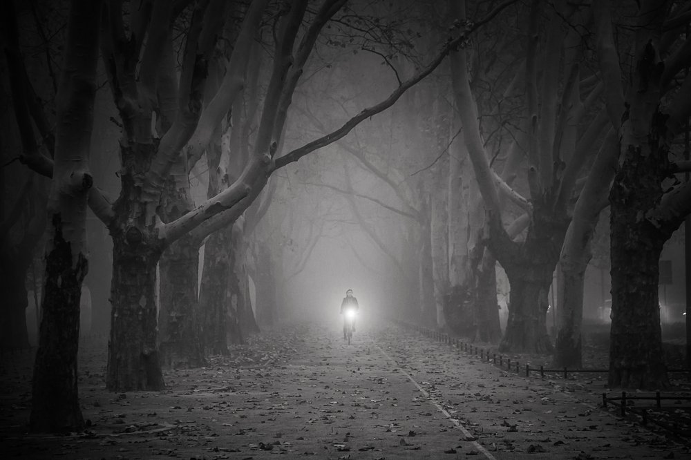 Photograph by  MiroM