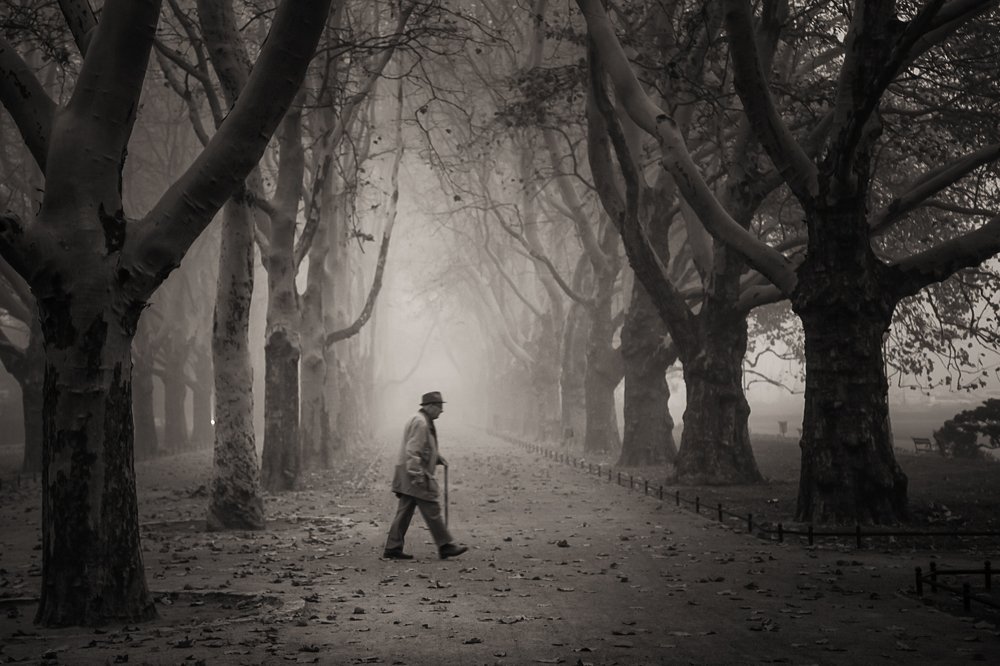 Photograph by  MiroM