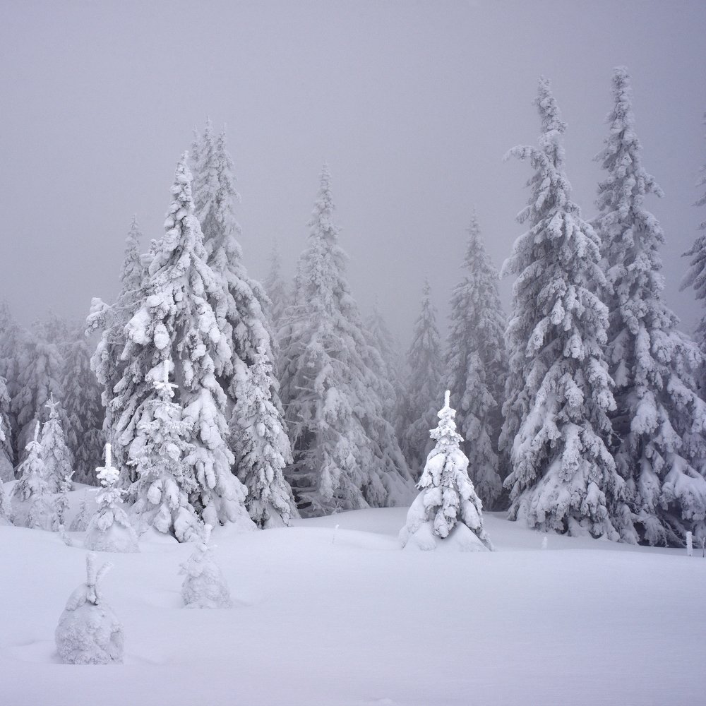 Photograph by Павел Фёдоров