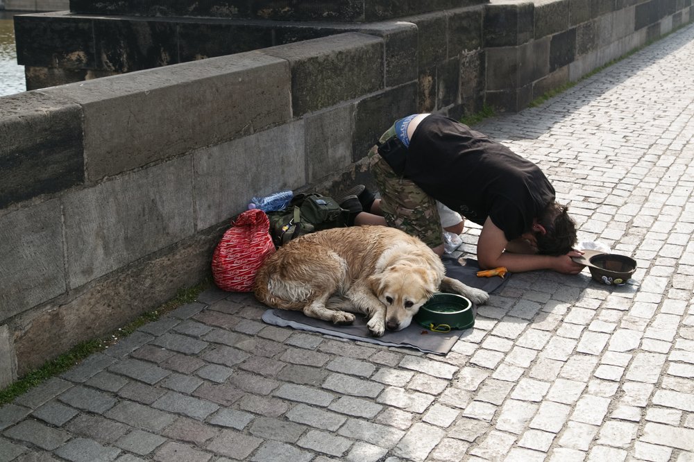 Photograph by Елена Миловзорова