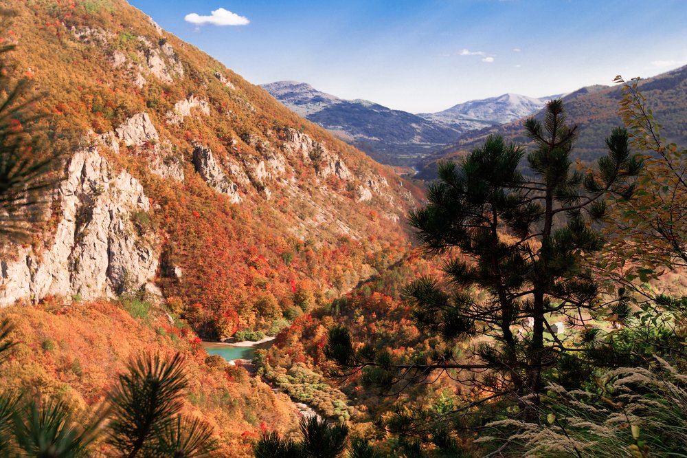 Photograph by Елена Миловзорова