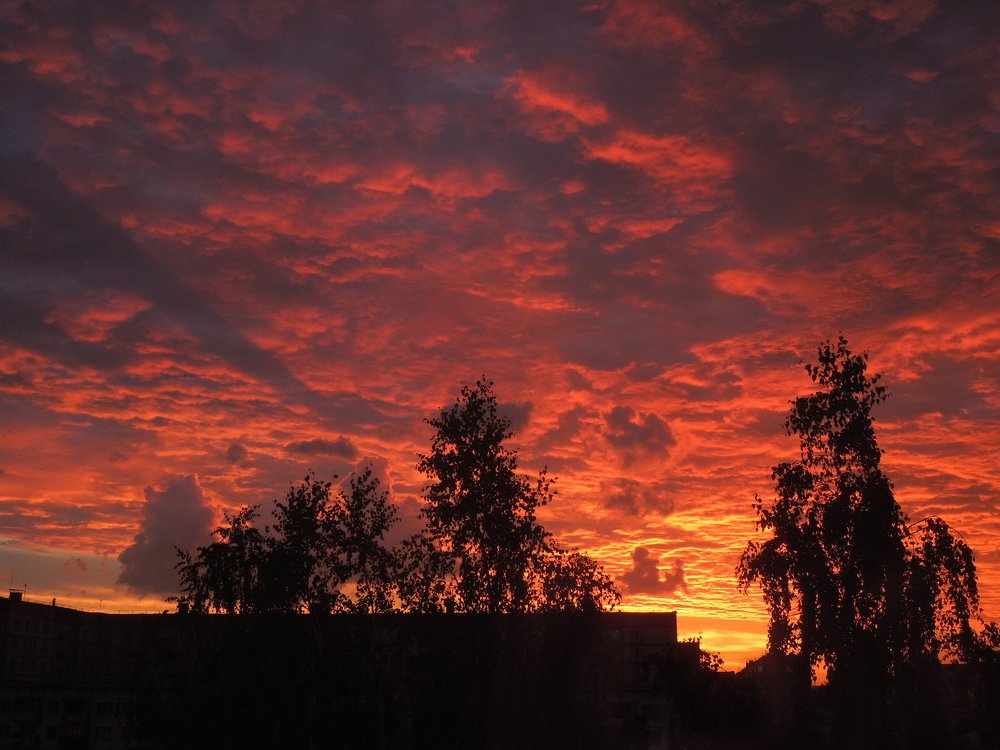 Photograph by Елена Болтенкова