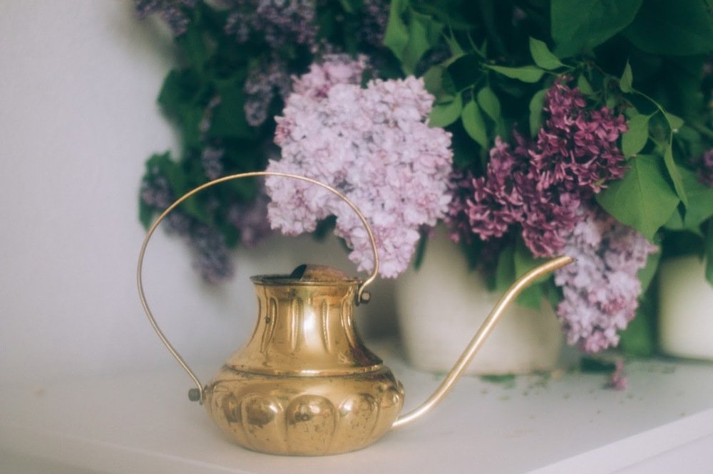 Photograph by Елена Демина