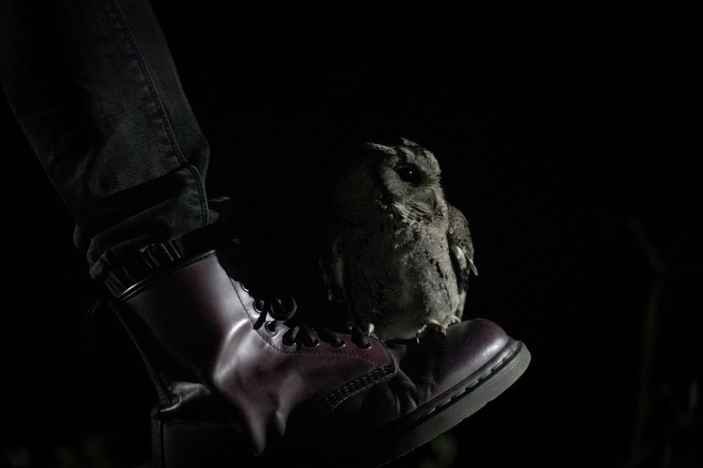 Photograph by Yang-Lin Tai