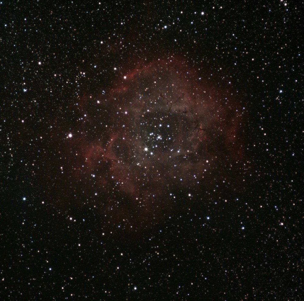 Photograph by Andrey Afanasev