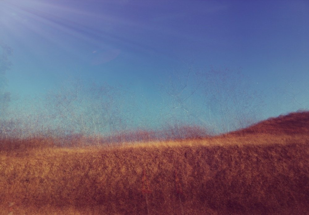 Photograph by Arpine Tzioni