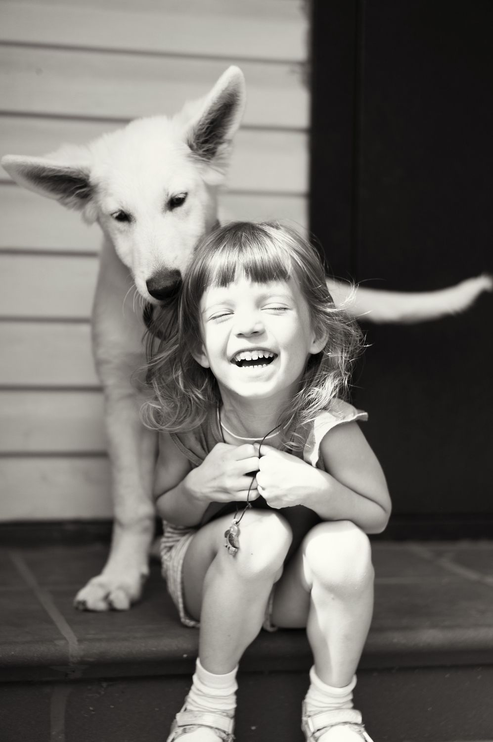 Photo #4284185