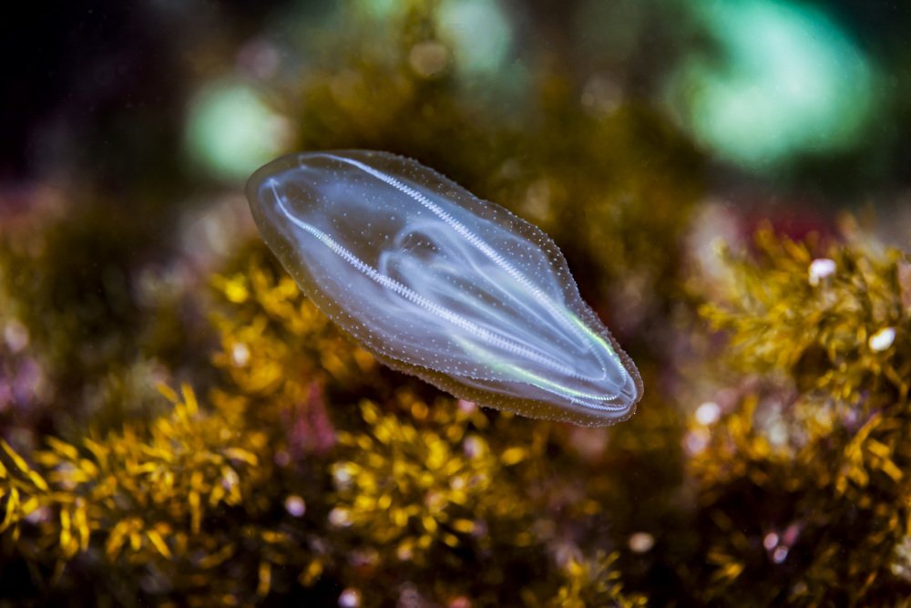 Photograph by Валерий Лейко