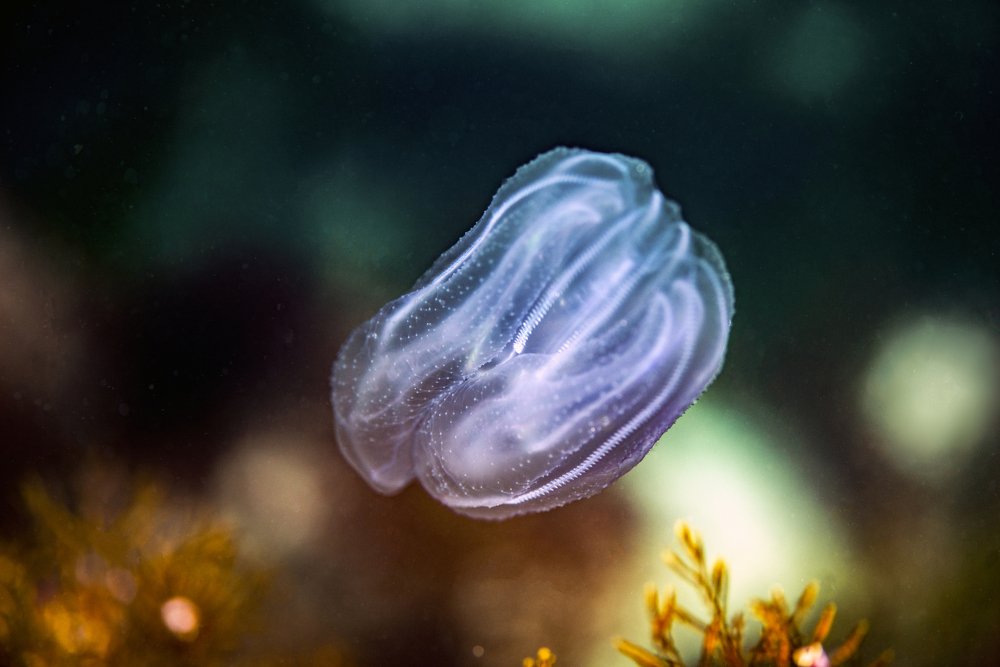 Photograph by Валерий Лейко