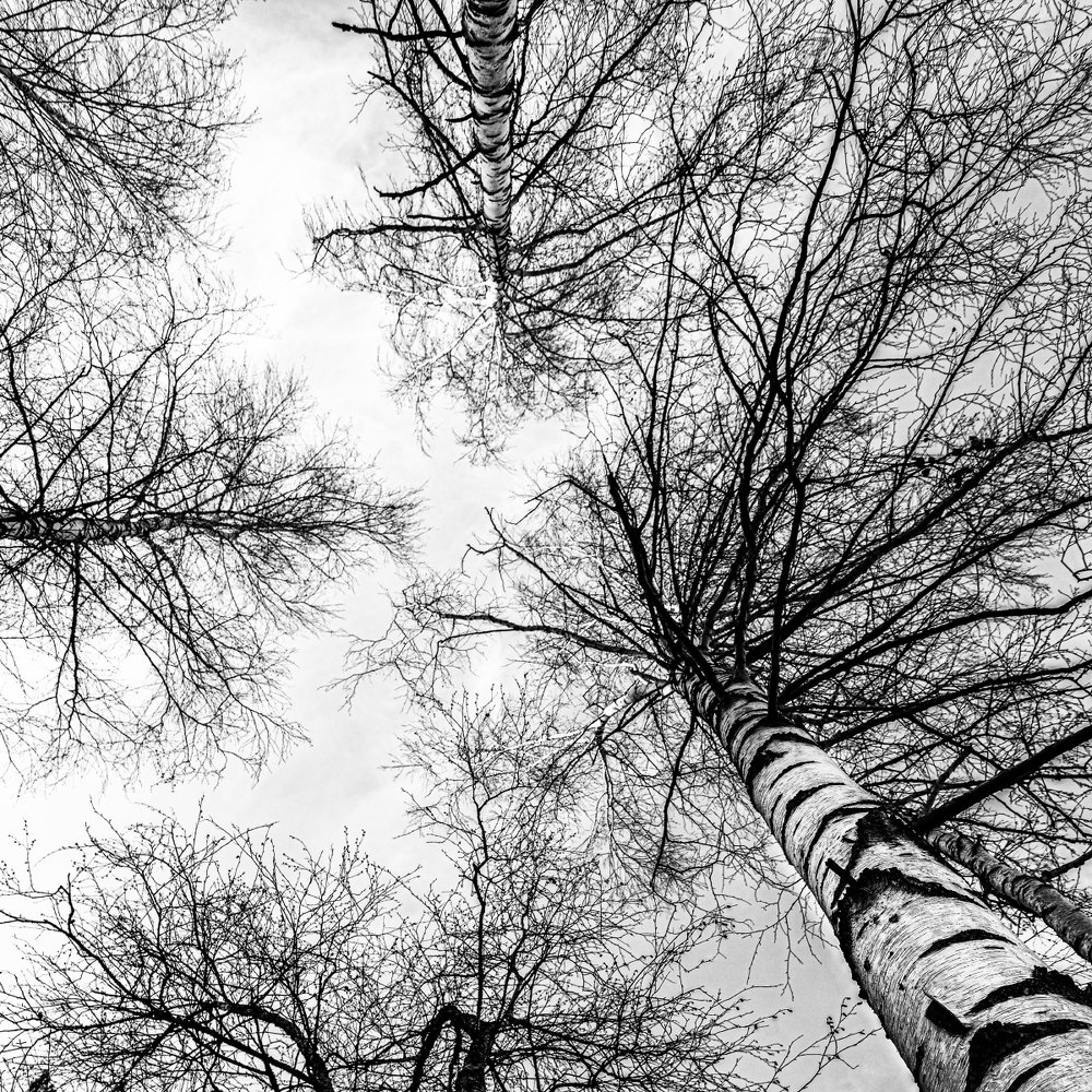 Фотография автора Владимир Зубков