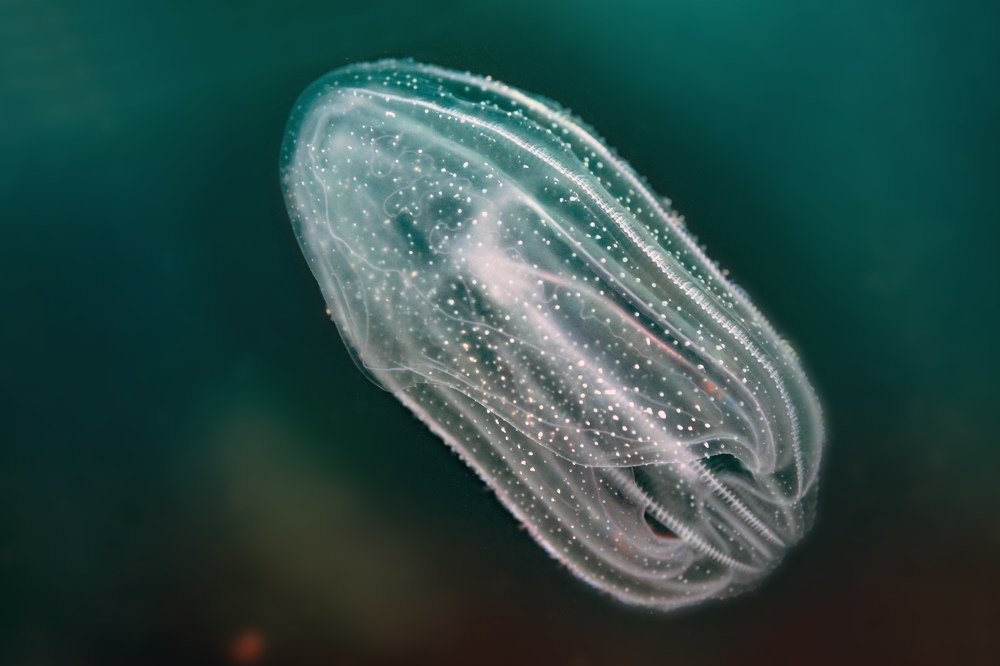 Photograph by Валерий Лейко