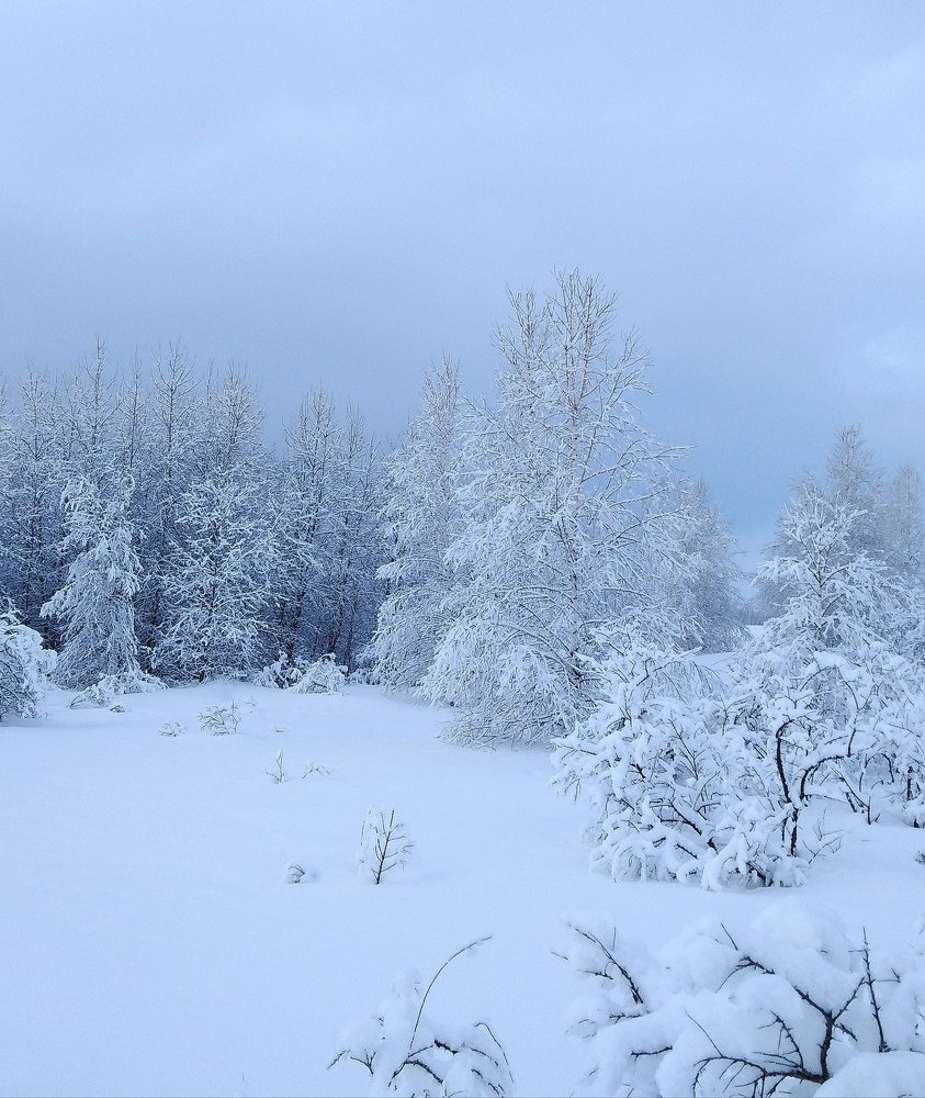 Photograph by Natalia Barsukova