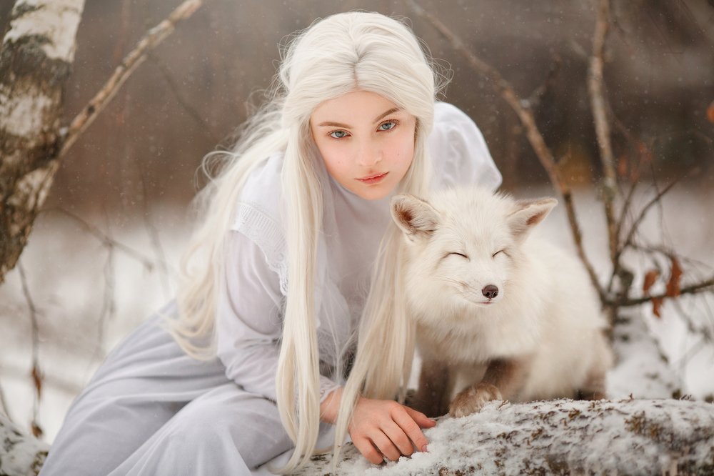 Мечтающий лис