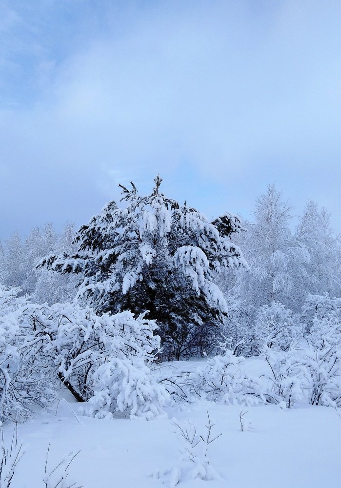Photograph by Natalia Barsukova