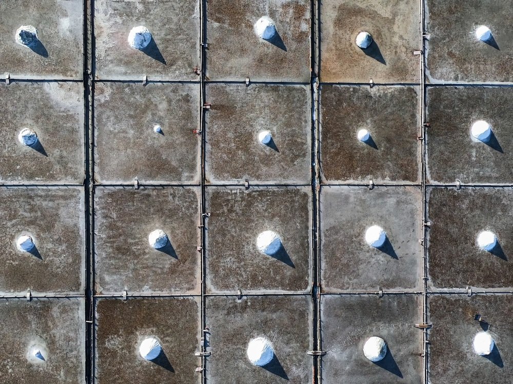 Photograph by Yang-Lin Tai