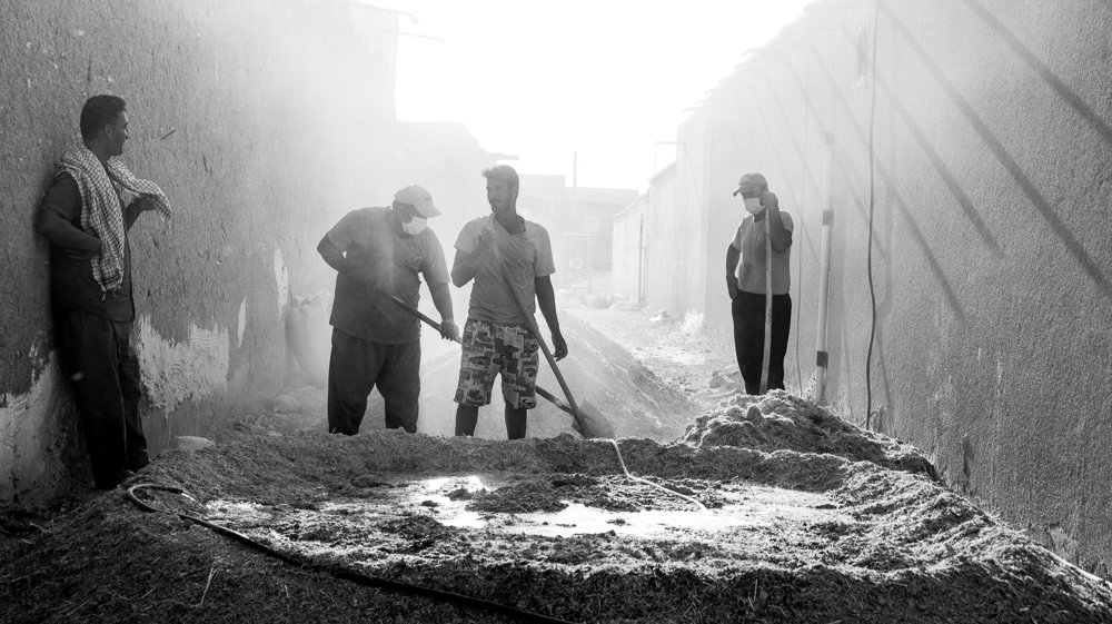 Photograph by Elias Haghighat