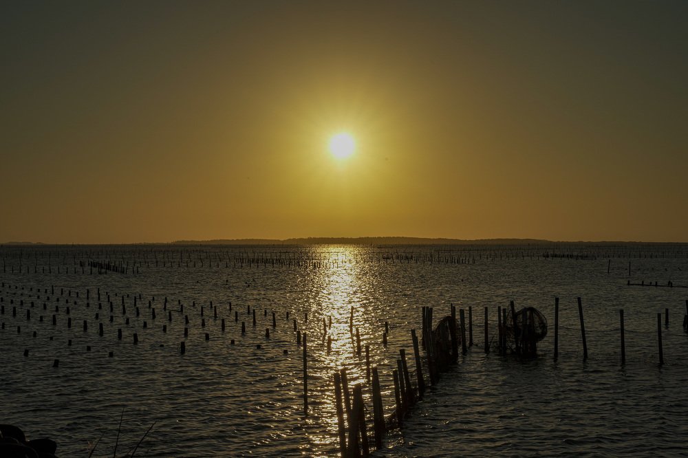 Photograph by Yang-Lin Tai