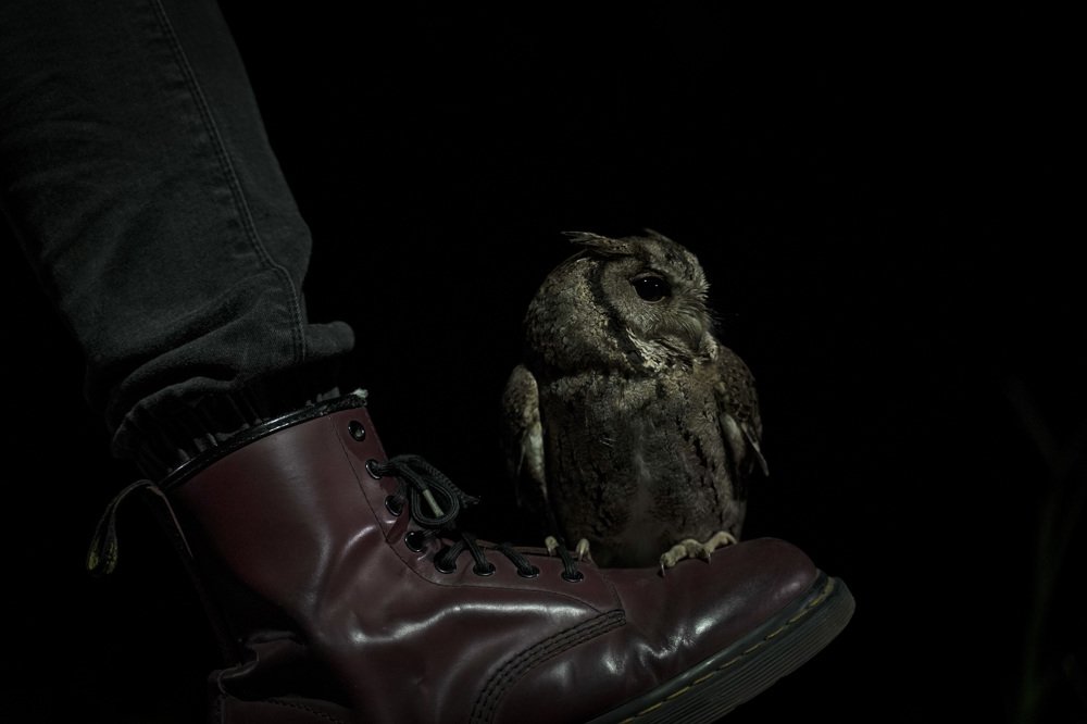 Photograph by Yang-Lin Tai