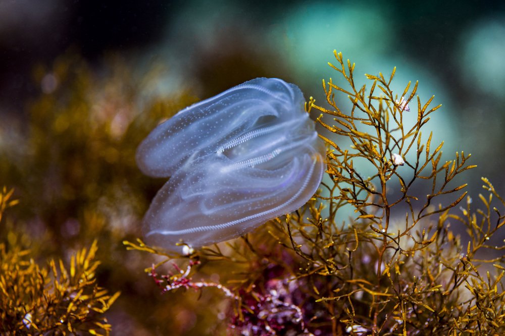 Photograph by Валерий Лейко