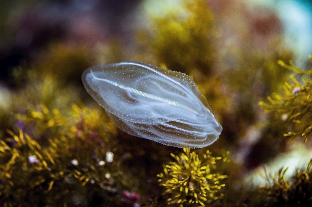 Photograph by Валерий Лейко