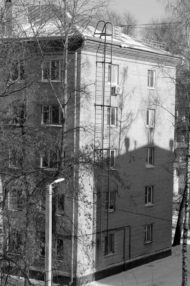 Photograph by Александра Ануфриева