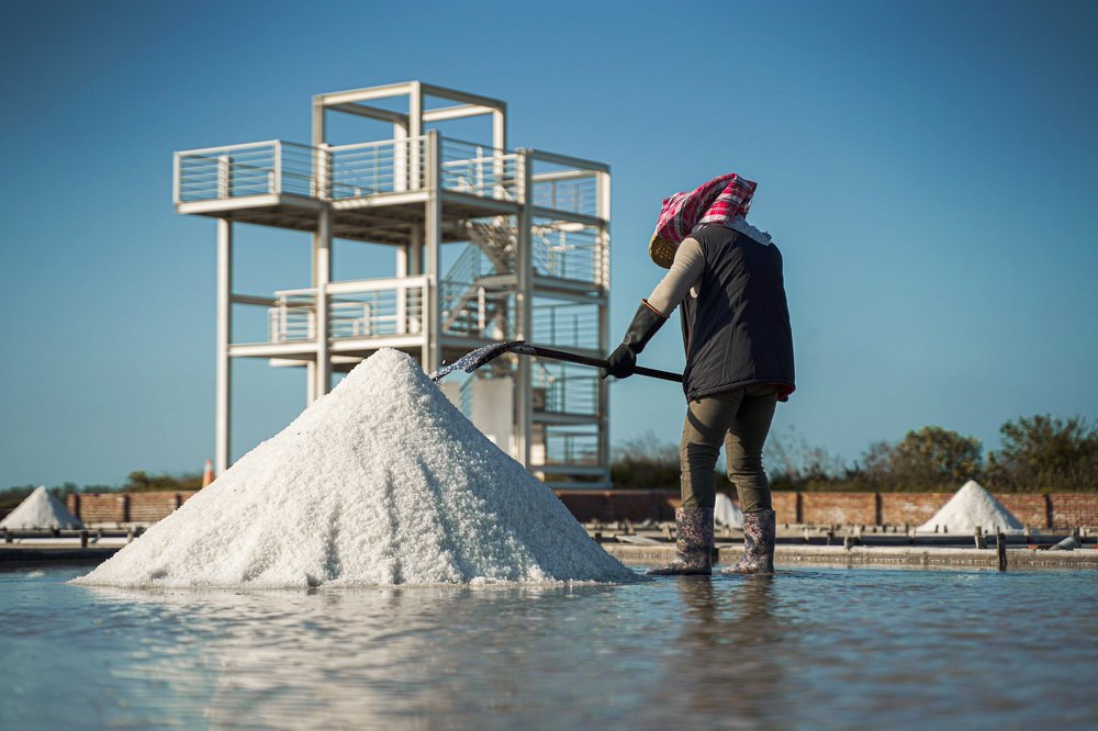 Photograph by Yang-Lin Tai