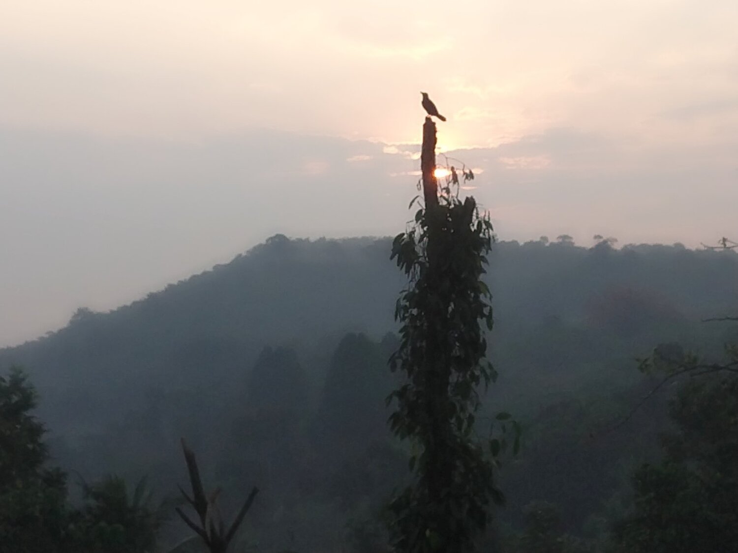 Photo #4284605