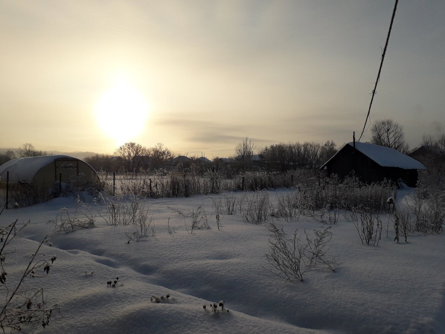Photo #4284636