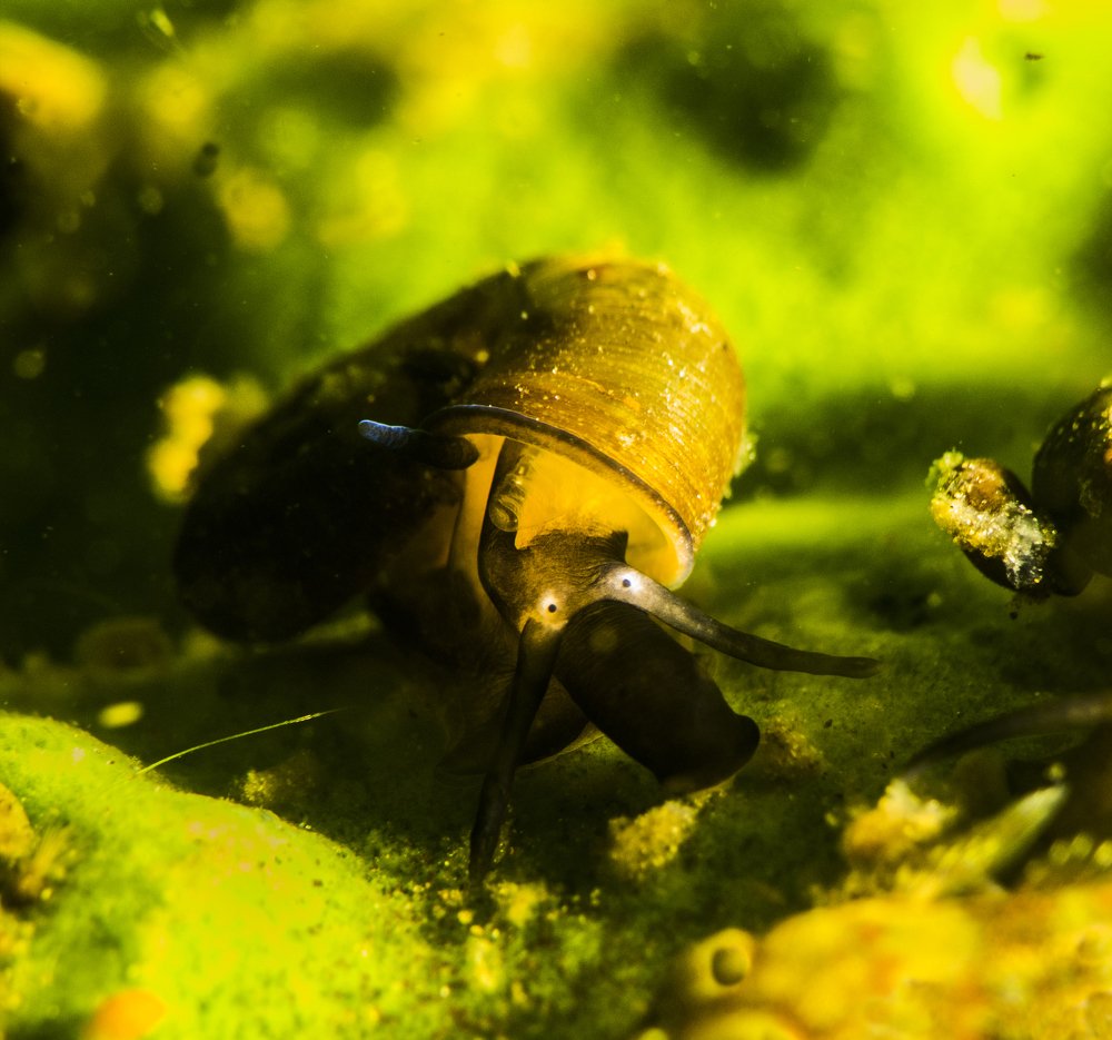 Photo #4284684