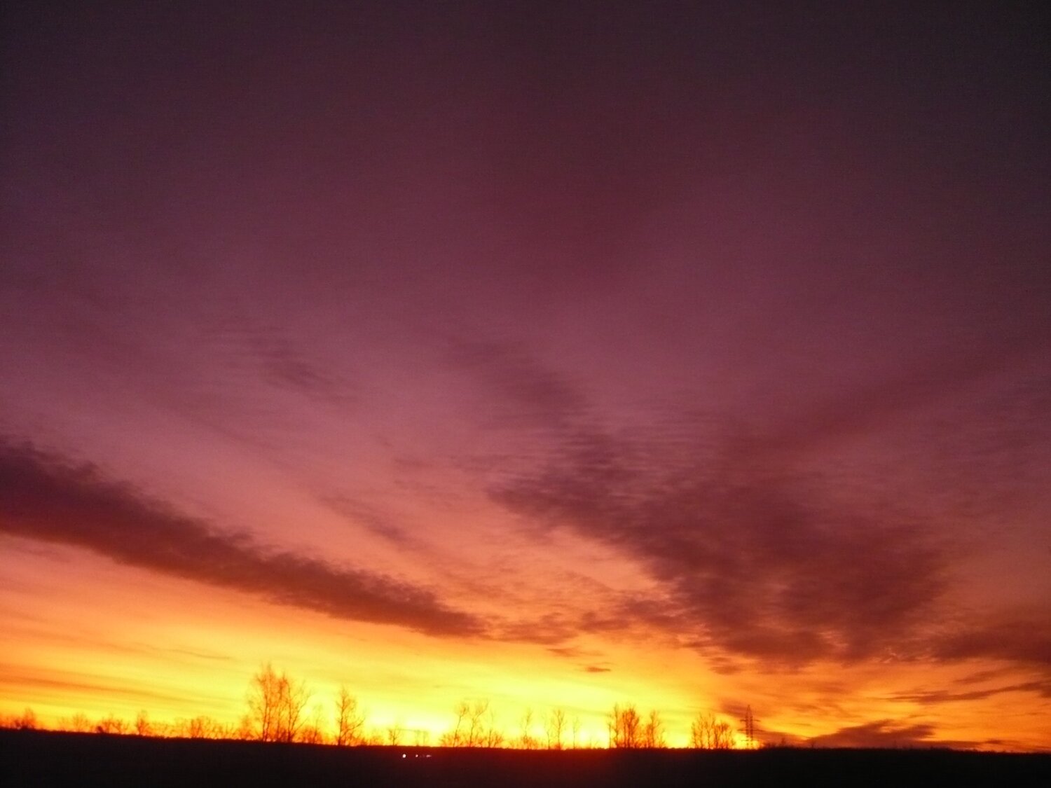 Photo #4284688