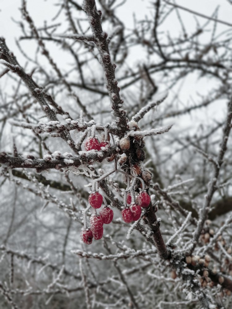 Photograph by Вера Крейдич