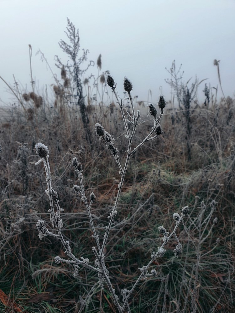 Photograph by Вера Крейдич