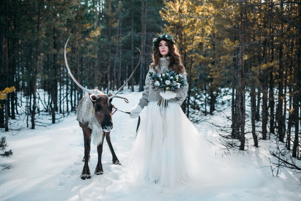 Лесная сказка