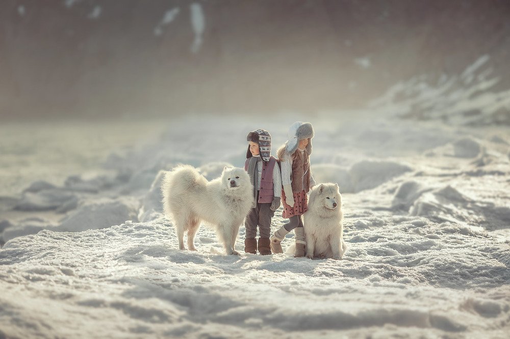 Photograph by Жилина Ирина