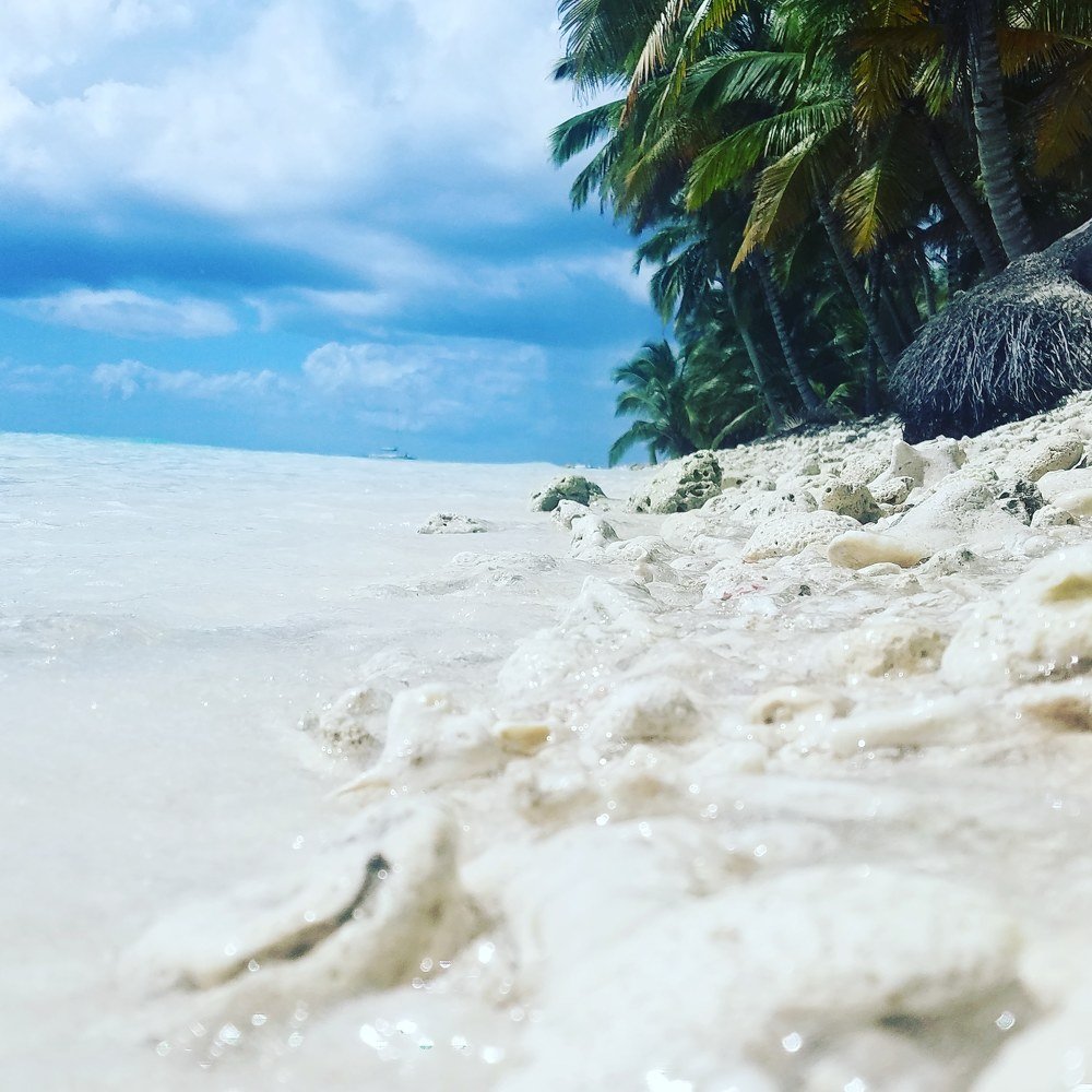 Isla soana