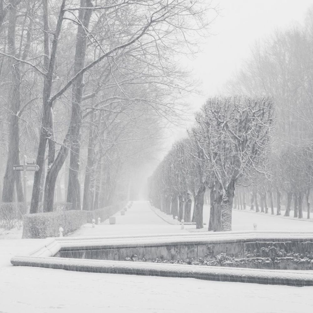 Photograph by Елена Курзина