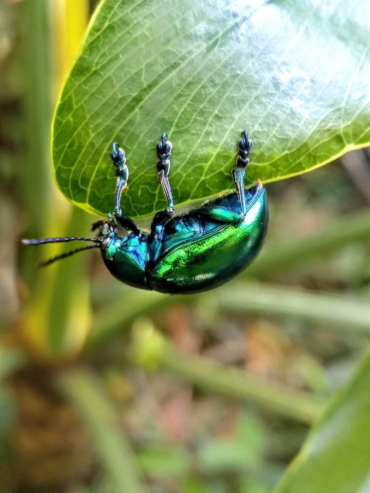 Photograph by Pablo Masuco