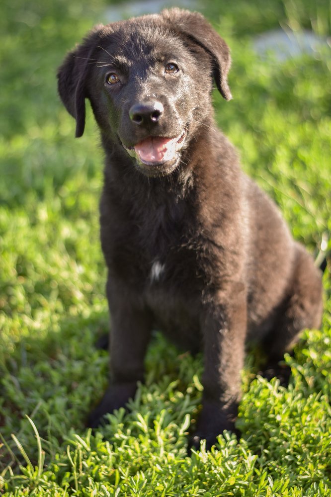 Photograph by Irina Stanislavskaya