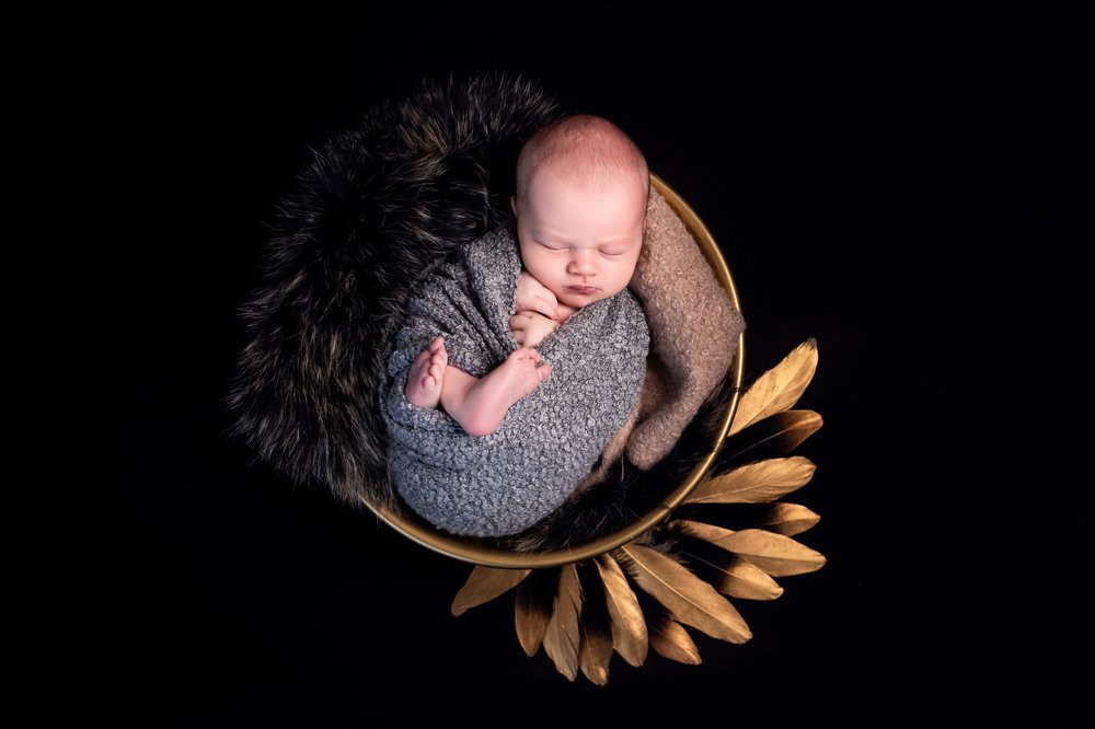 Фотография автора Светлана Климович