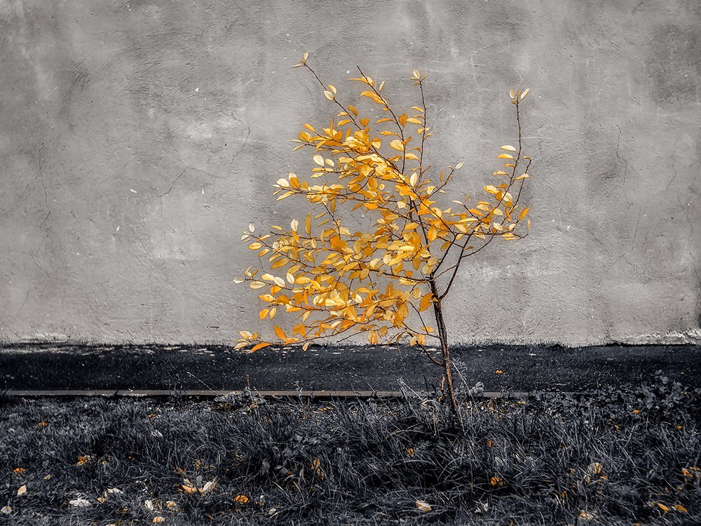 Photograph by Сергей Забиякин