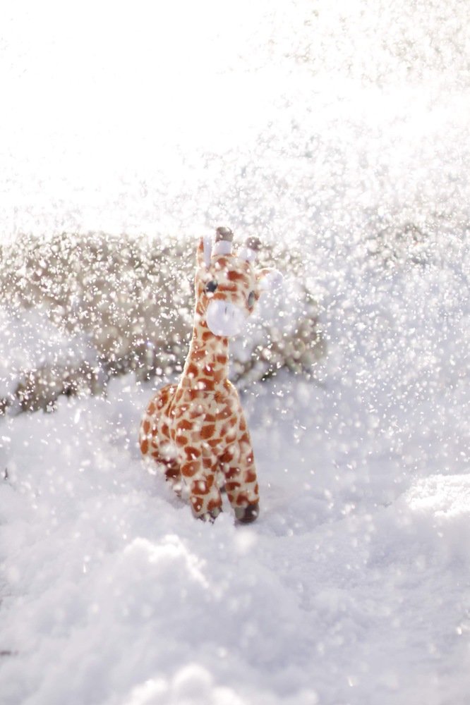 Photograph by Елена Хорошильцева