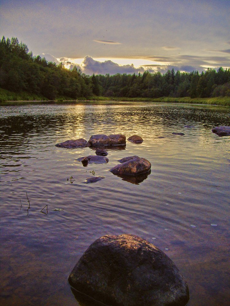 Звенящая тишина летнего вечера