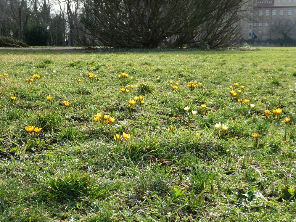 Photograph by Andre Wittke