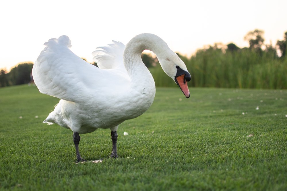 Photograph by Irina Stanislavskaya