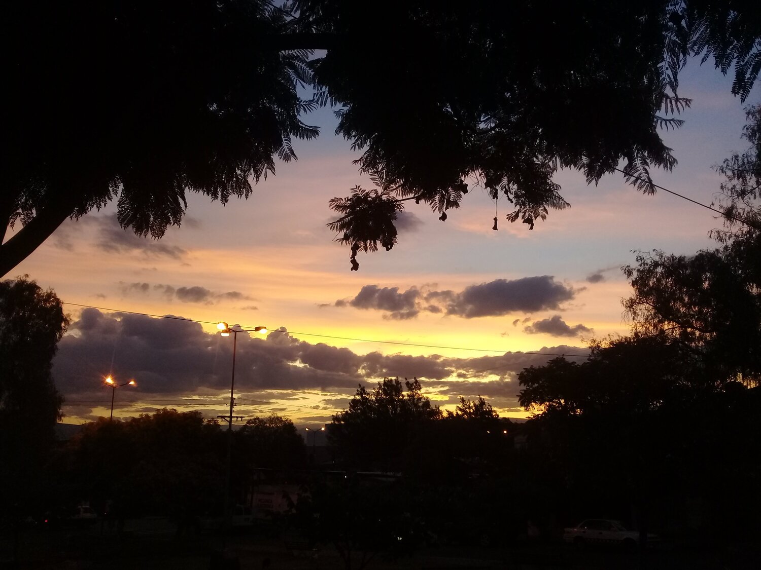 Photo #4285318